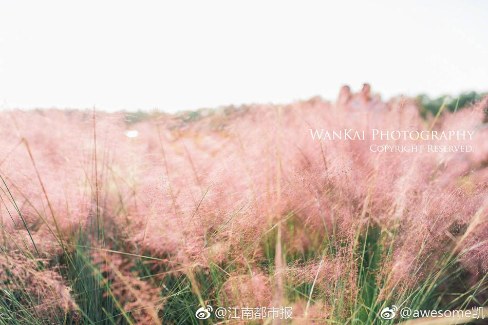 两男生互摸jiji秘 网站