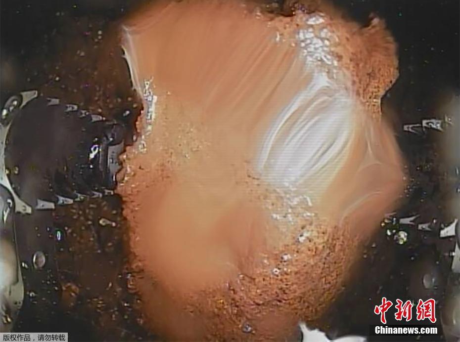 亚洲精品秘 一区二区网址