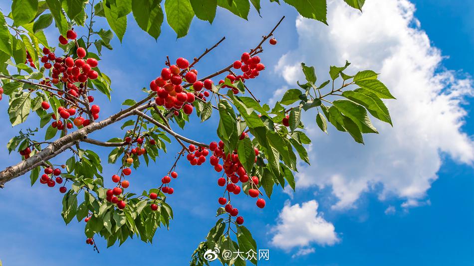 我的老师黄片免费视频