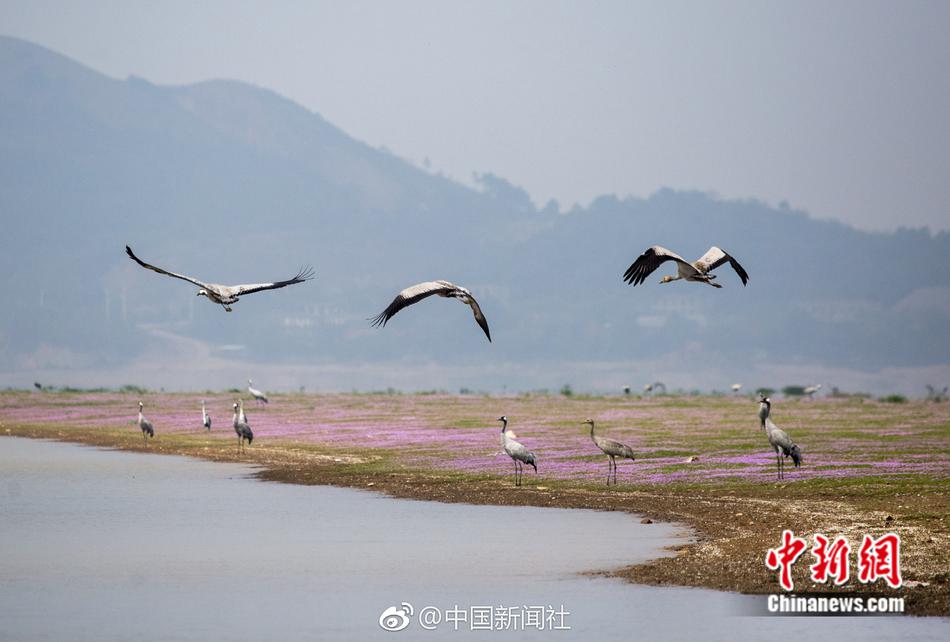 360浏览器怎么看历史记录