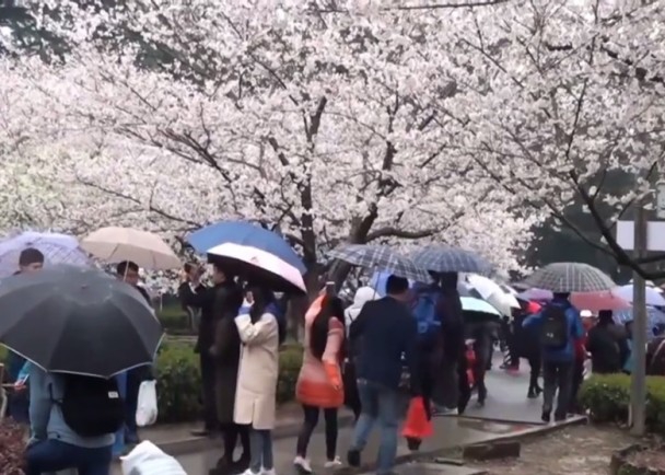辦公室自慰