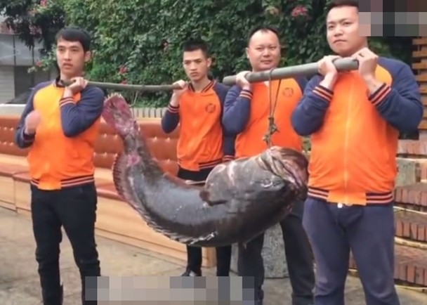 宏翔男男GayFuCK激情酒店