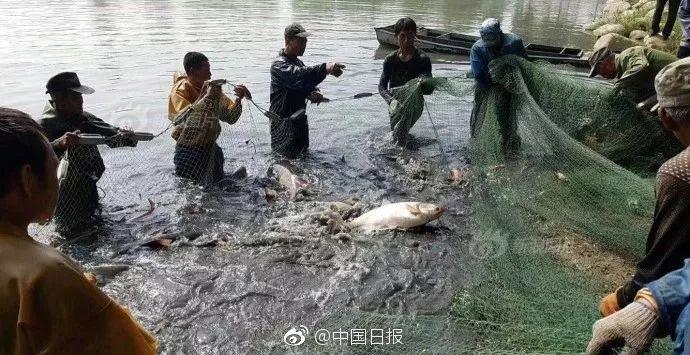 与子亂倫一级A片