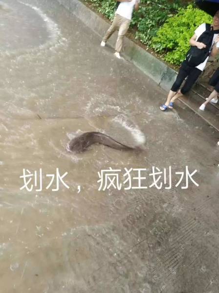 韩国伦理片男的和男的搞在一起理发