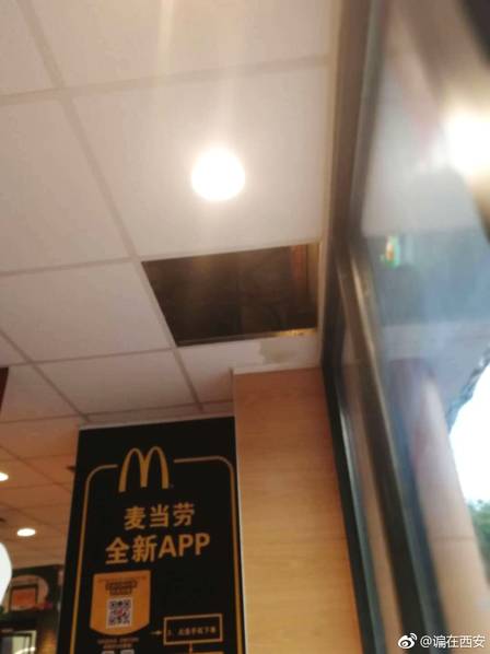 在线视频信息与剧情介绍
