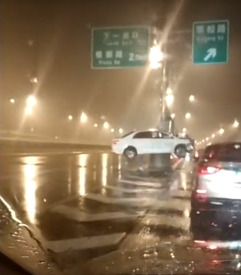 狗 狗 性交