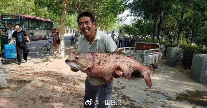 伊人一区