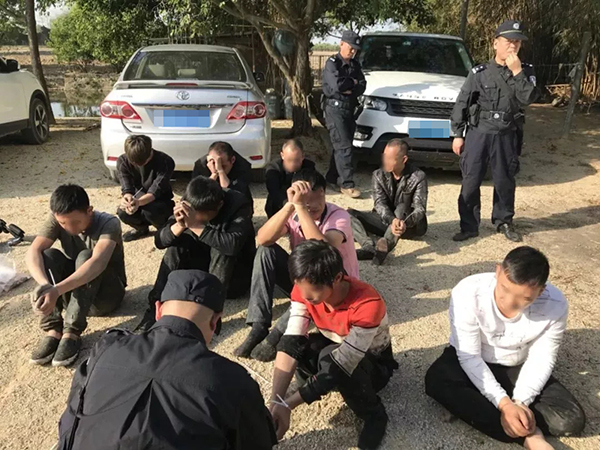 澄海陈姓人口_澄海狮头鹅图片(2)