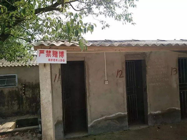成人 看 片 网站