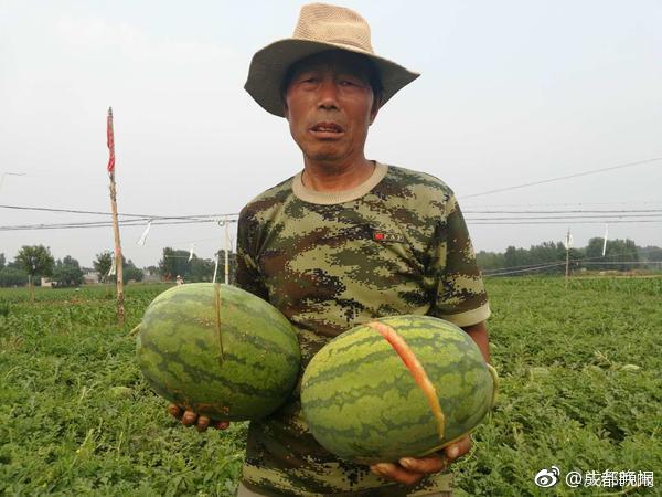 卡戴珊被啪 21分钟