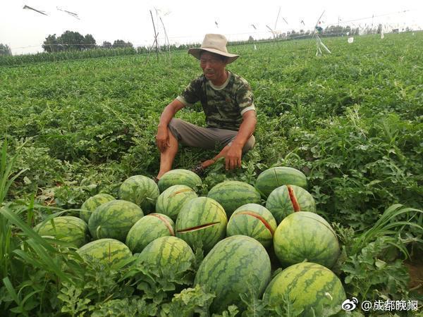 纲手腿法熟练脚法精湛跳舞动作