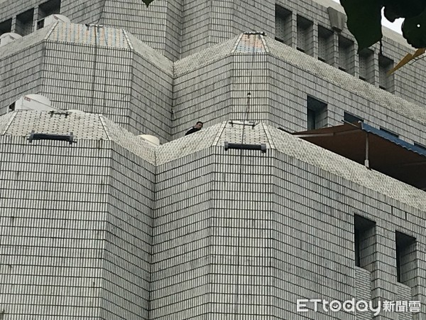 电报 群 换妻