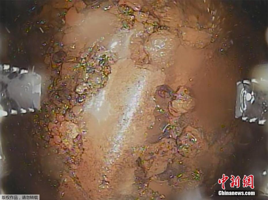 荷兰黄色一级片