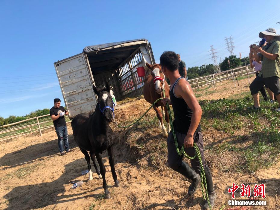 久操资源