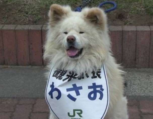 久久偷拍视频