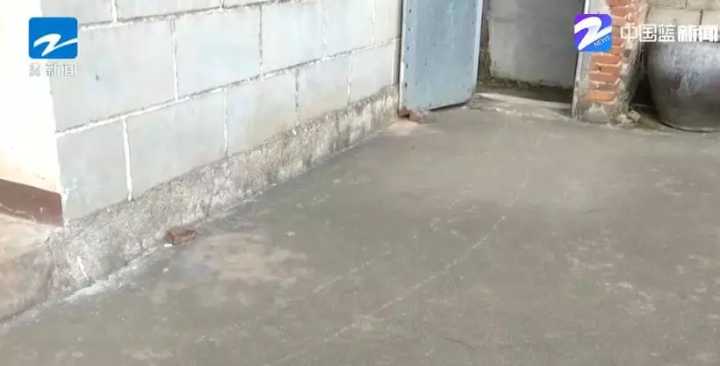 国内精品激情视频网址