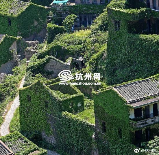 3分19秒砍断手断脚视频