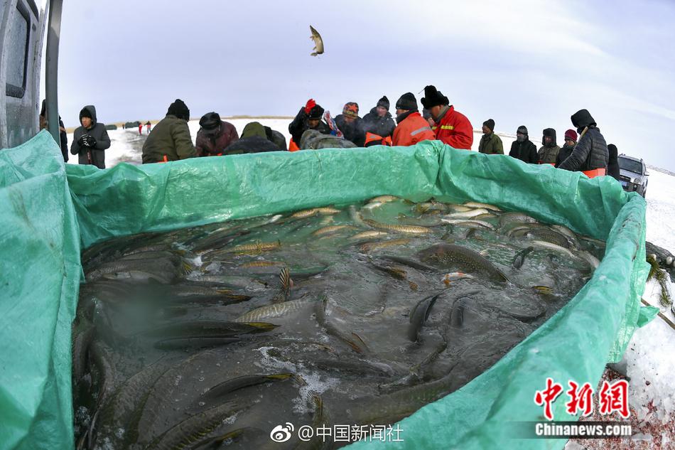 搞黄软件