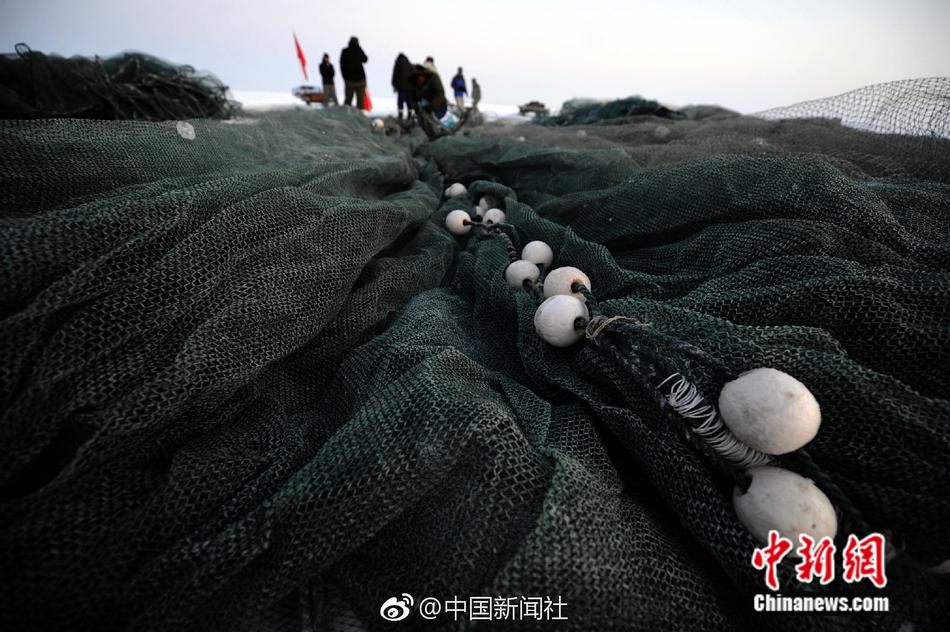 免费 无码 色情 影片