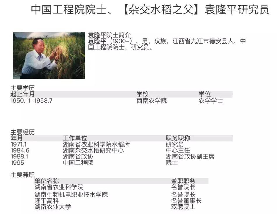 罔腰尬鳳梨