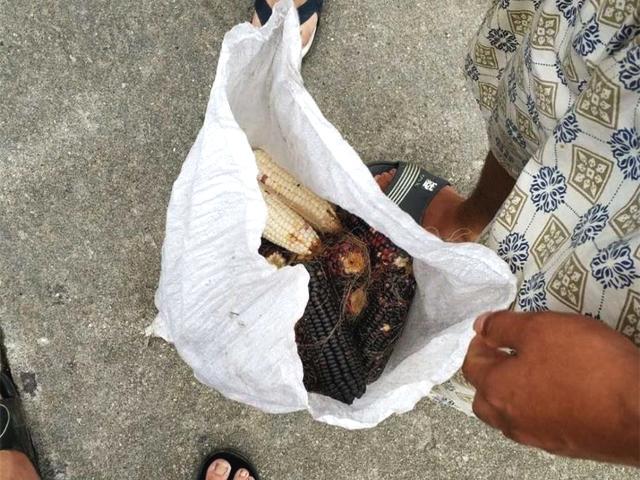 双乳被四个男人吃奶图片