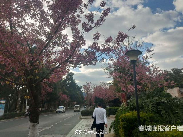 亚洲精品欧美