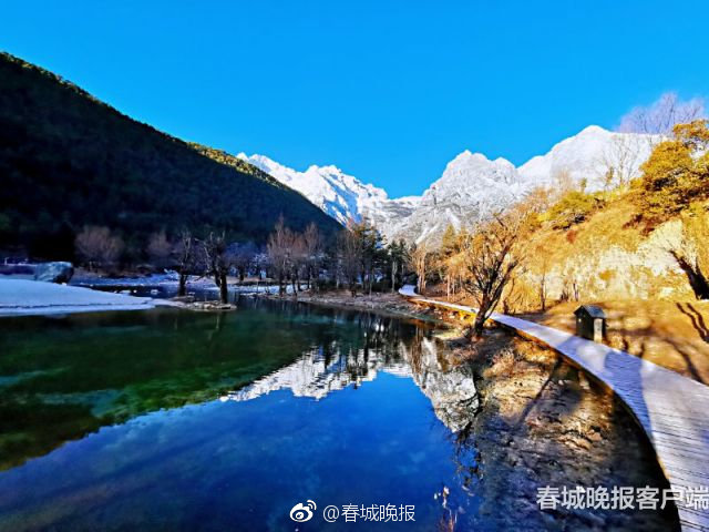 成年人一级黄色网站