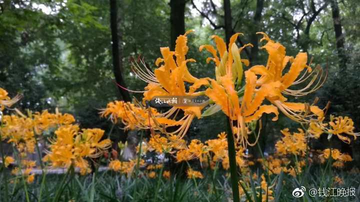 一级毛片电影