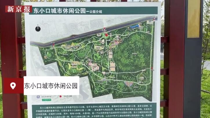 小薇