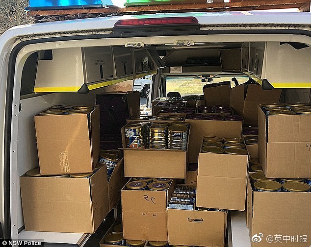 91视频精品