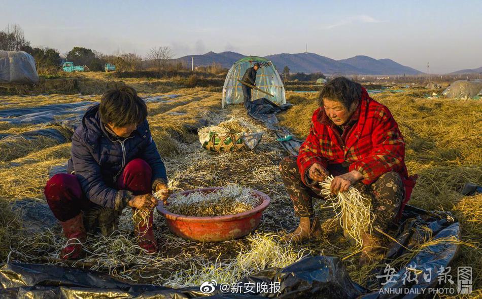 我丰满的岳 3的电影