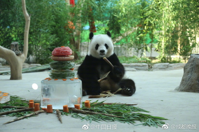 早晨做爱
