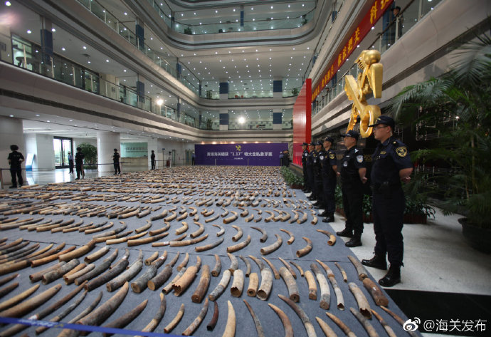 把她带去乳刑室用乳刑折磨