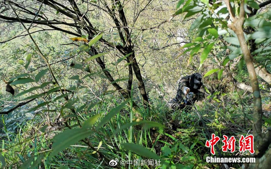 黄色 视频 地址