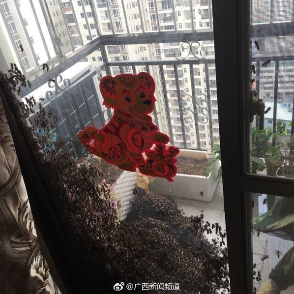 99婷婷