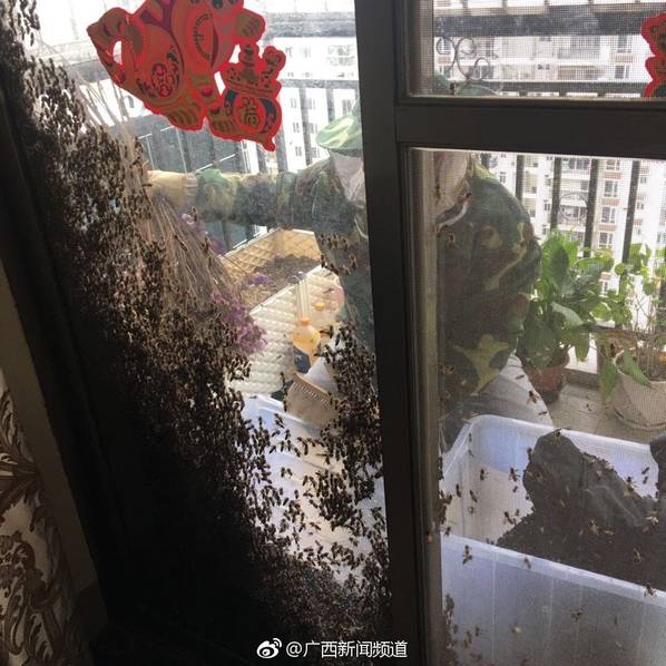 三上悠亚ssnI-490无码
