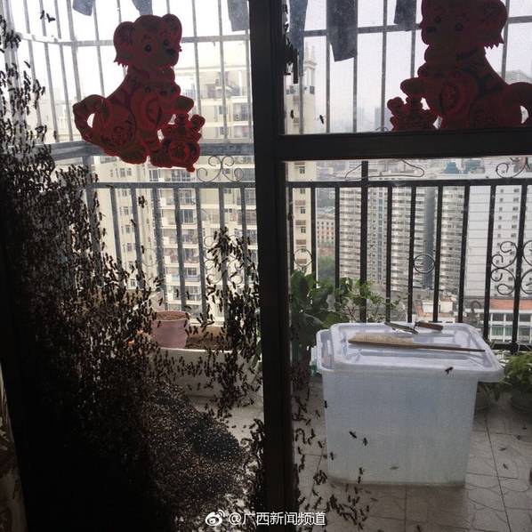 中国一级黄色毛片