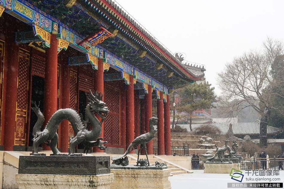 91视频网址