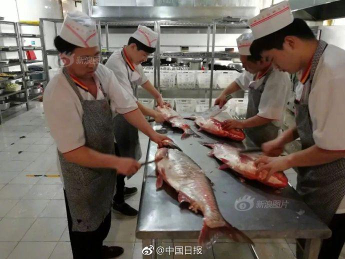 农村老头树林做爰