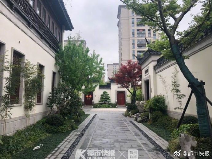 免费看黄色片
