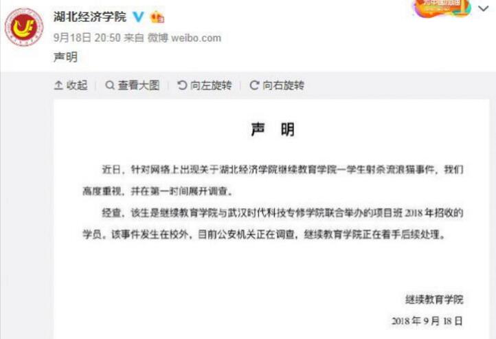 91精品久久久久久久久久