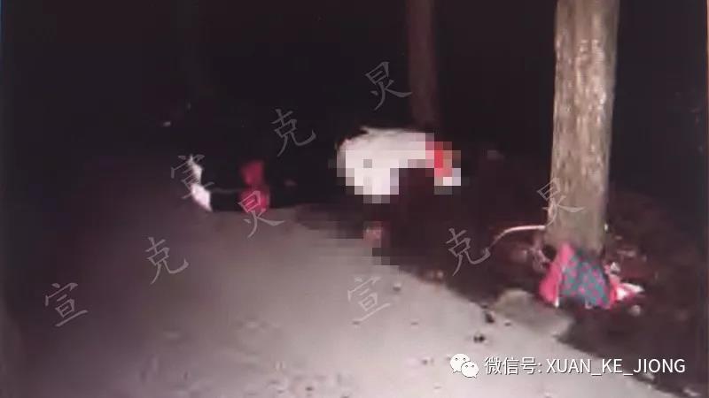我要在线观看台湾四级片