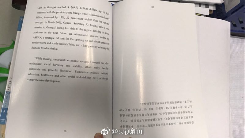 明星王李丹妮三级片