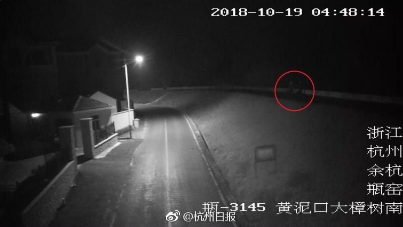 丰满少妇一级黄色片