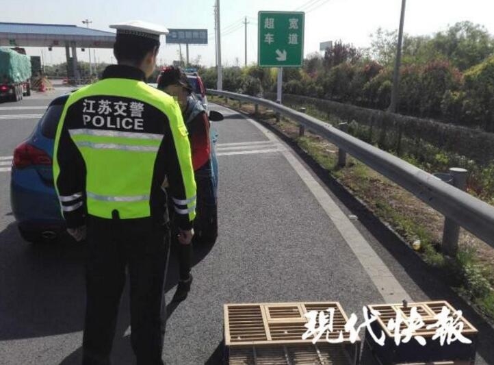 中国老太婆拳交