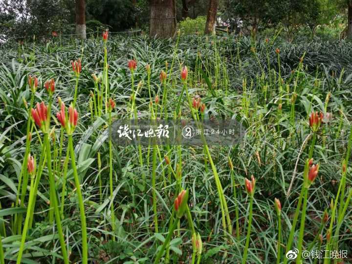 高清一区二区三区