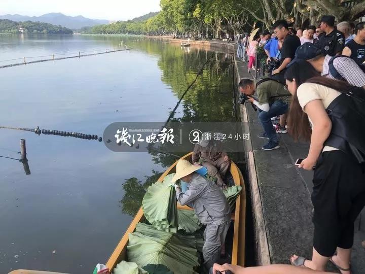 丸純子