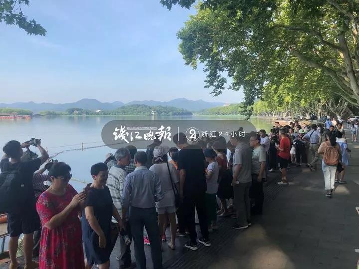 欧洲孕妇的性生活视频在线观看