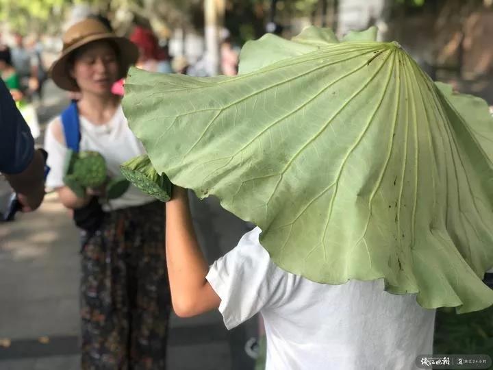麻豆久久久
