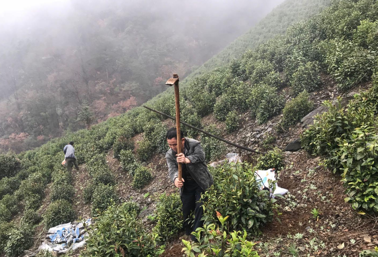 性欧美黄色片三级